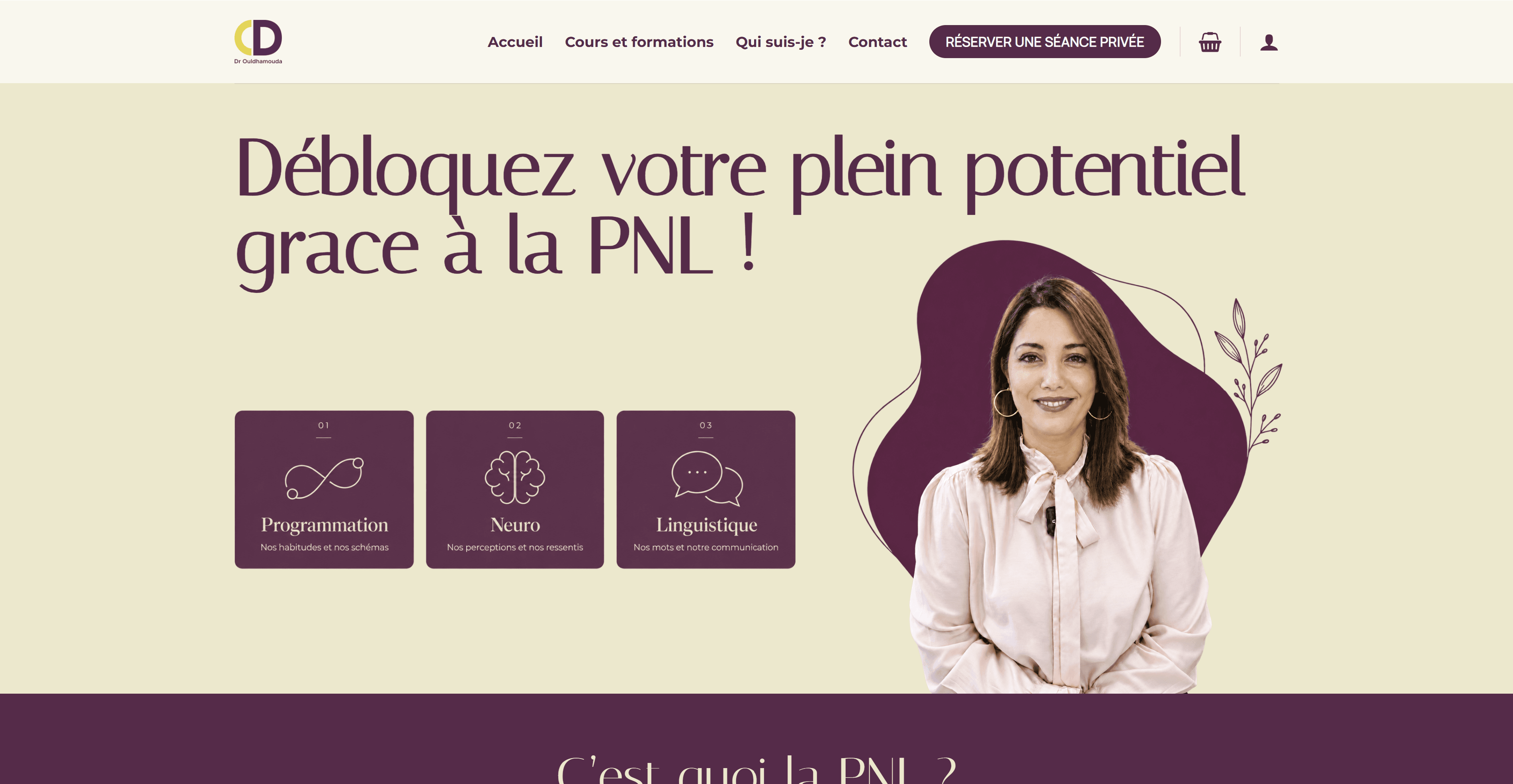 Dr Ould Hamouda — website screenshot